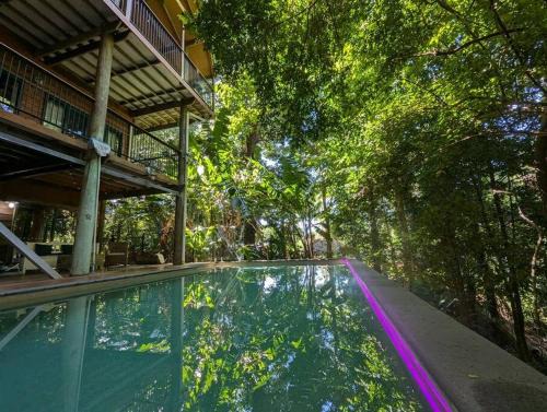 Bingil Bay Casa | TreeTops by the Sea