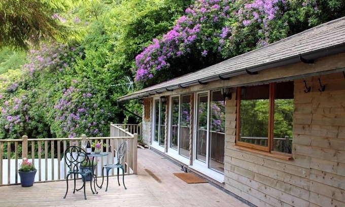 Oare Cabaña | TREETOPS, que admite mascotas, con un jardín en Woody Bay, Ref 988920