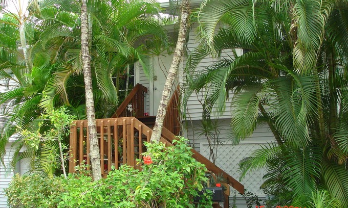 Bonita Springs Cabaña | Treetops Private Cozy Tranquil Cottage / Imperial River w / Dock, vida salvaje, kayaks