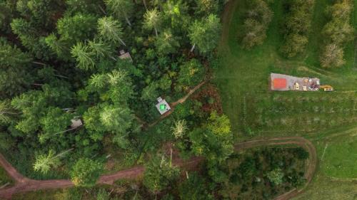 Guckinsdorf Otro | Trekking Camp am Renchtalsteig
