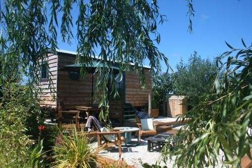 Otterham Otro | TREKLYS Shepherds Hut