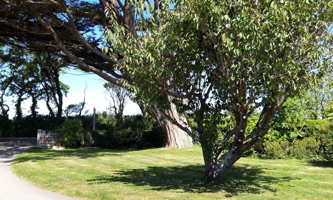 Mawnan Smith Cabaña | Trelawne Garden Annexe
