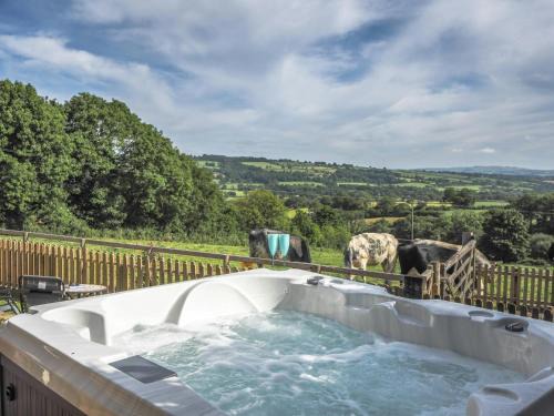 Tan-y-groes Casa | Trem y Gorwel Aberporth