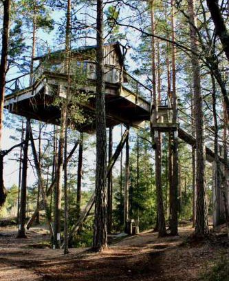 Halden Chalet De Esquí | Tretopphytter På Grensen - Elghytta med robåt og gjeddefiske