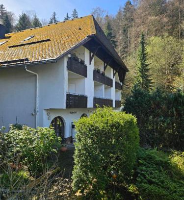 Triberg im Schwarzwald Apartamento | Triberg Falls Hideaway - Apartment 35