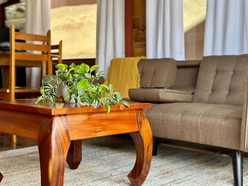 Barrio Dora Casa | Tribu Bungalow 4 Centrally located and comfortable