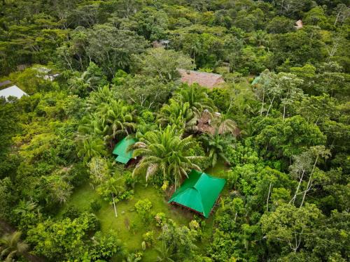 Puerto Maldonado Otro | Tronco Tambopata Adventure