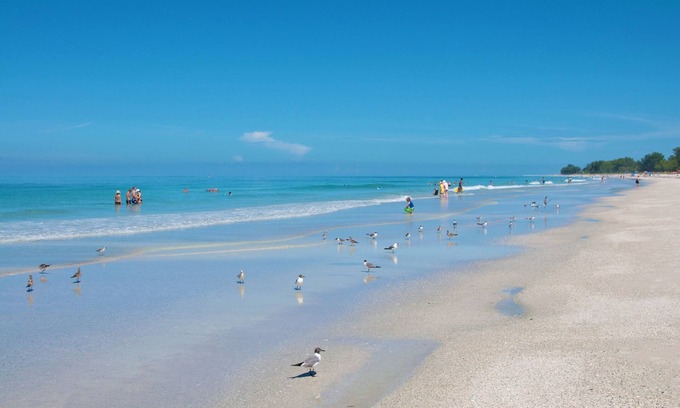 Bradenton Beach Hotel | Tropic Isle at Anna Maria Island Inn