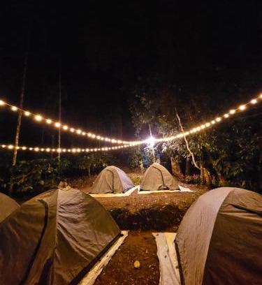 Vayittiri Otro | Tropical camping