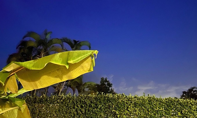Dorado del Mar Casa | Tropical Oasis in Puerto Rico! 5BR Family Retreat w/ Private Pool & Lush Yard!