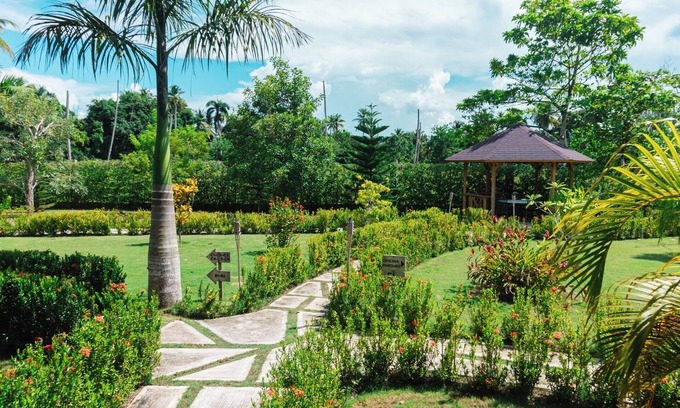 Sanchez Villa | Retiro Tropical con Piscina Privada en Samaná para familias y Grupos