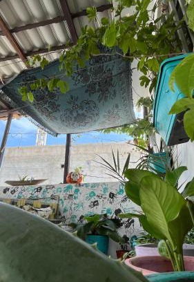 Ngor Casa | Tropicali ⁿᵉᵃʳ ⁿᵍᵒʳ ᵇᵉᵃᶜʰ ᵃⁿᵈ ⁱˢˡᵃⁿᵈ