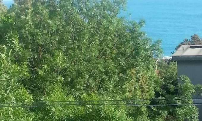 Castiglioncello Apartamento | Truly 100 MT. from the SEA and BEACH + stunning SEA VIEW