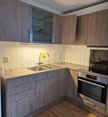 Innbygda Apartamento | Trysil sentrum leilighet