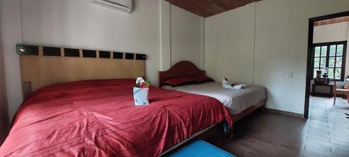 Lacanjá Apartamento | Tu Casa en la Selva Lacandona