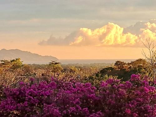 Tarcoles Cama Y Desayuno | Tucanes Ridge Bed and Breakfast