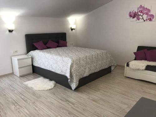 Tukums Apartamento | Tukums apartments