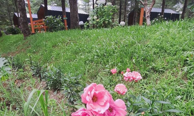 Kartepe Cabina | Tumba Sisli Vadi