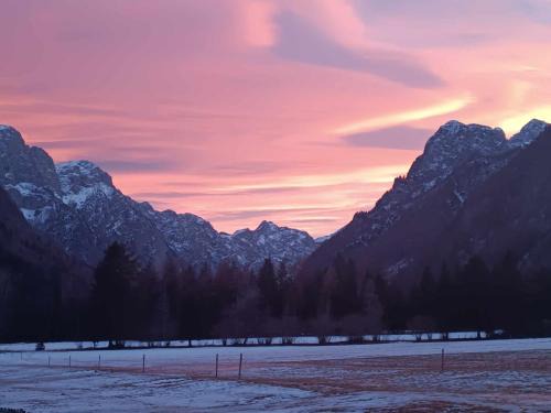 Mojstrana Apartamento | Turisticna Kmetija Psnak