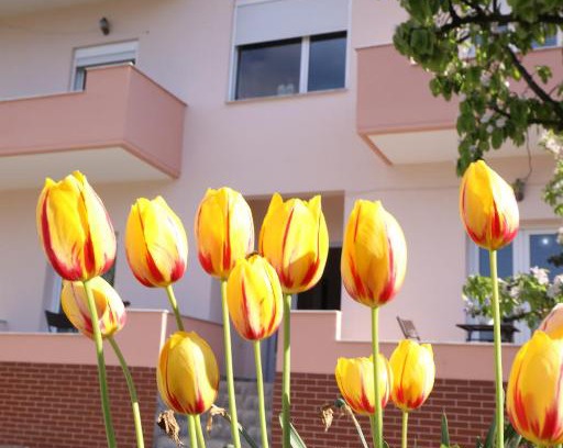 Piskupat Casa | Turka Lake House