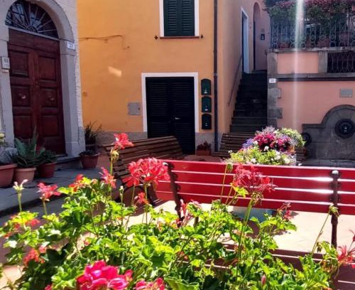 Riparbella Apartamento | Tuscany WineArt