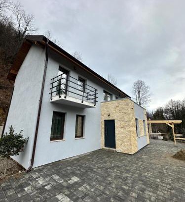 Valiug Casa | Twin Villa1