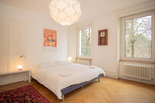 Basilea Apartamento | Two Floor Apartment with Garden & BaselCard