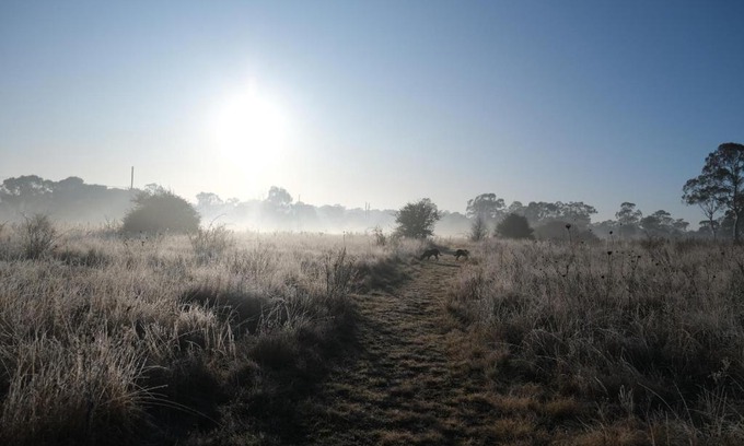 Armidale Apartamento | Twodogfolly