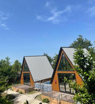 Kobuleti Villa | Typebi