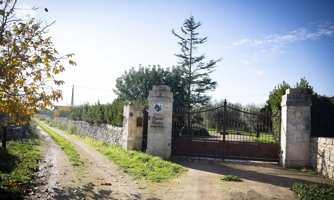 Turi Cama Y Desayuno | Typical Apulian Property with Swimming Pool