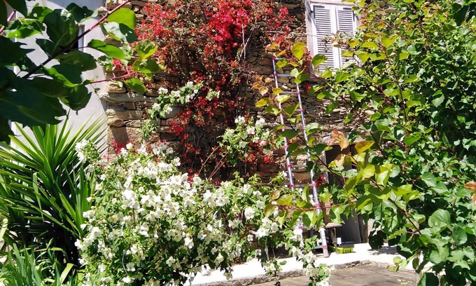 Sorio Casa | typical Corsican village house in the heart of Nebbio