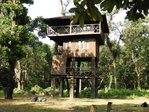 Sauraha Hotel | Typical Nepali Kitchen - No Pizza - No Pasta - No Problem !!