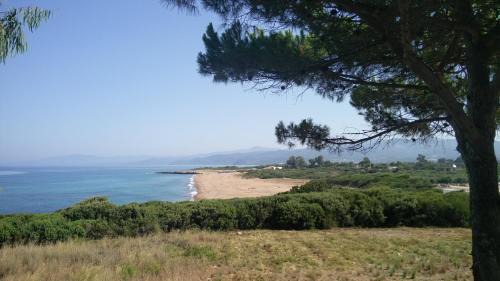 Kiparissia Casa | Tzanetos Seaside