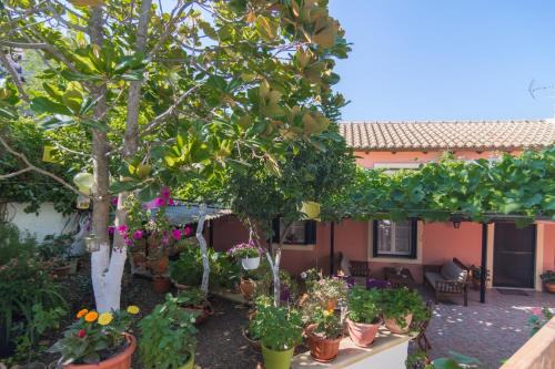 Doukades Casa | Tzeris House