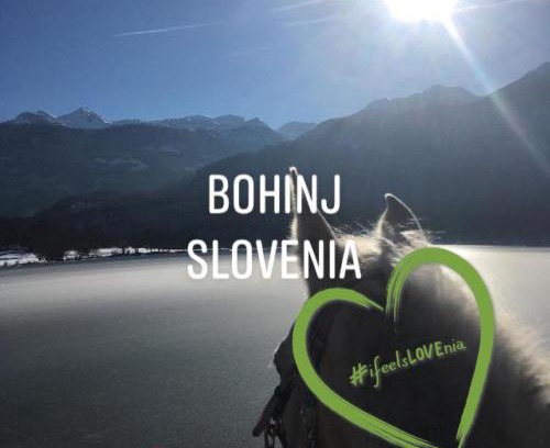 Bohinjska Cesnjica Casa | Učni ranč, Bohinj