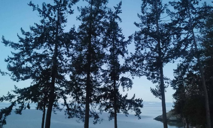 Powell River Apartamento | U1 Seaside Serenity: Seal Bay Glamping Retreat