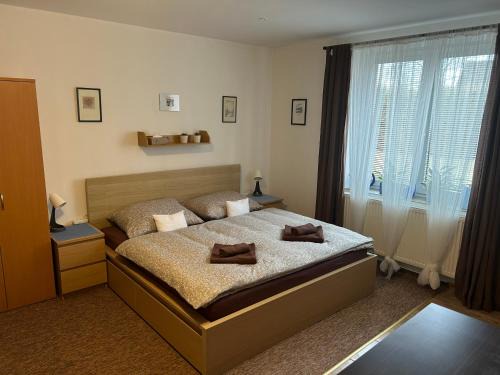 Rozsochy Apartamento | Ubytování Rozsochy