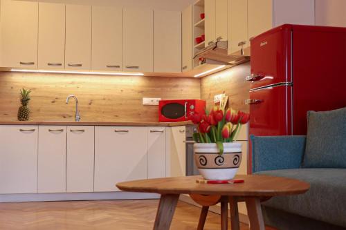 Nachod Apartamento | Ubytování u lípy