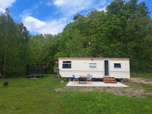 Sarbsk Casa | Ulinia Wilcza 4 beżowy