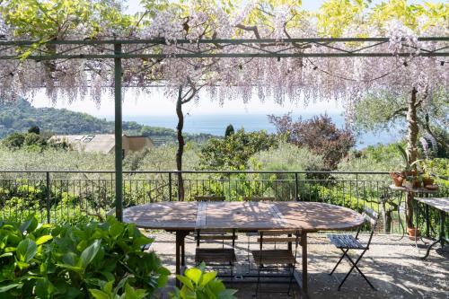 Camogli Villa | Uliveto