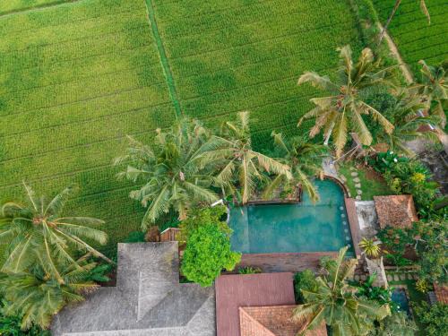 Sebatu Complejo | Uma Linggah Resort by Puri Signatures