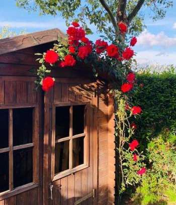 Nola Casa | Una piacevole oasi di benessere nei vostri viaggi
