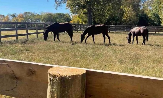 Lexington Casa | Unbeatable Location: Trackside Farm at Keeneland
