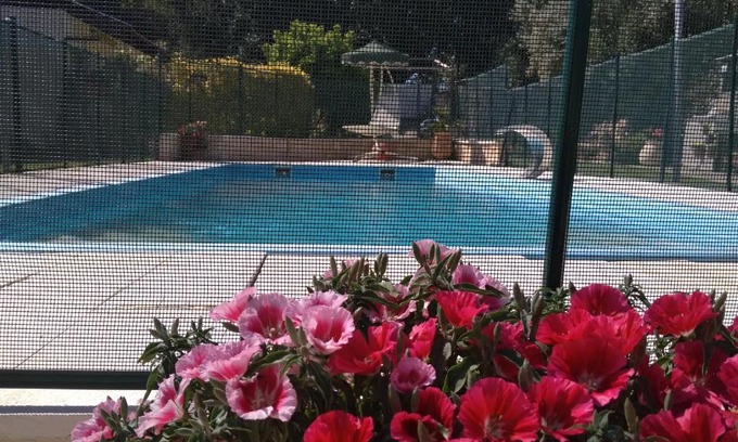 Aseret Casa | Under The Fig Tree