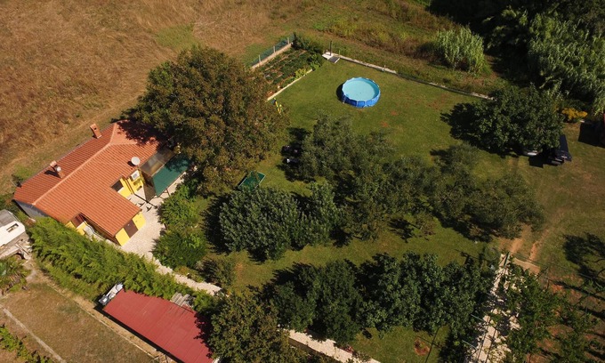 Medulin Casa | Bajo el árbol de nuez Pomer - Familia y mascotas, gran césped, vegetación, naturaleza