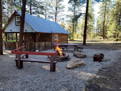 Mancos Casa | Unique Cabin Rental in Colorado for a Weekend Getaway in the USA