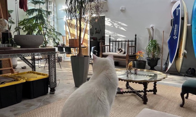 Alexander Cabaña | Unique, earth sheltered country home with quonset hut access. Quiet! Pets!