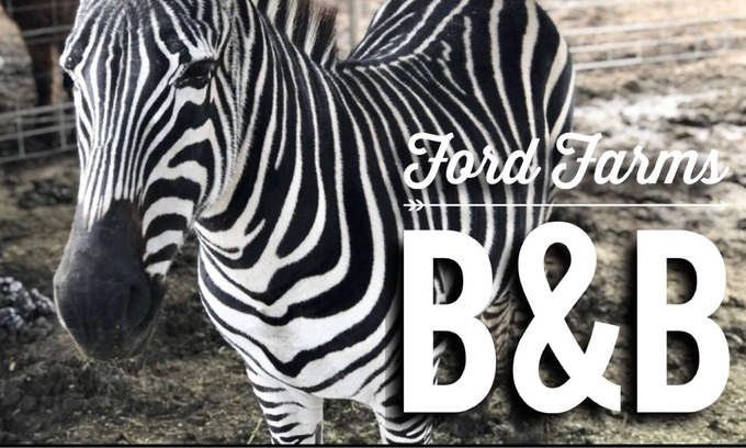 Lindsay Casa | Unique Farm stay at a Petting Zoo