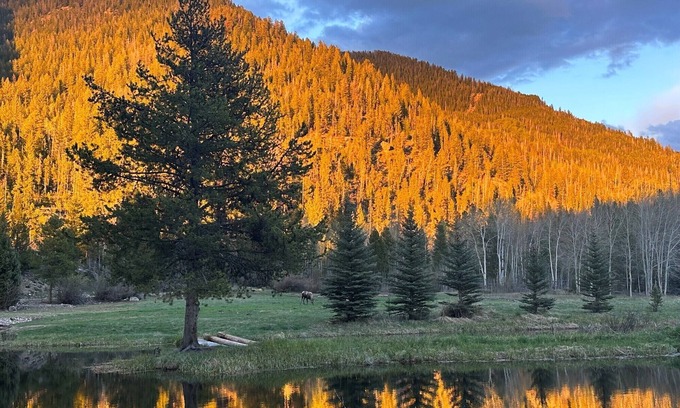 Granby Alquiler De RV | Unique Glamping Experience