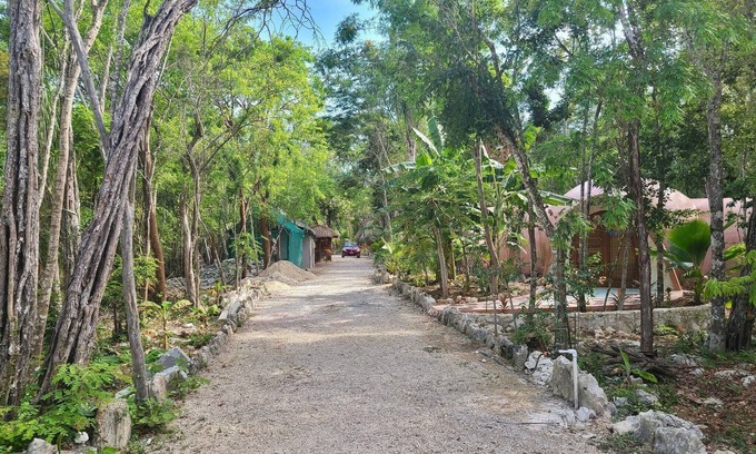 Soliman Bay Apartamento | Unique Jungle Dome Ha With Kitchen